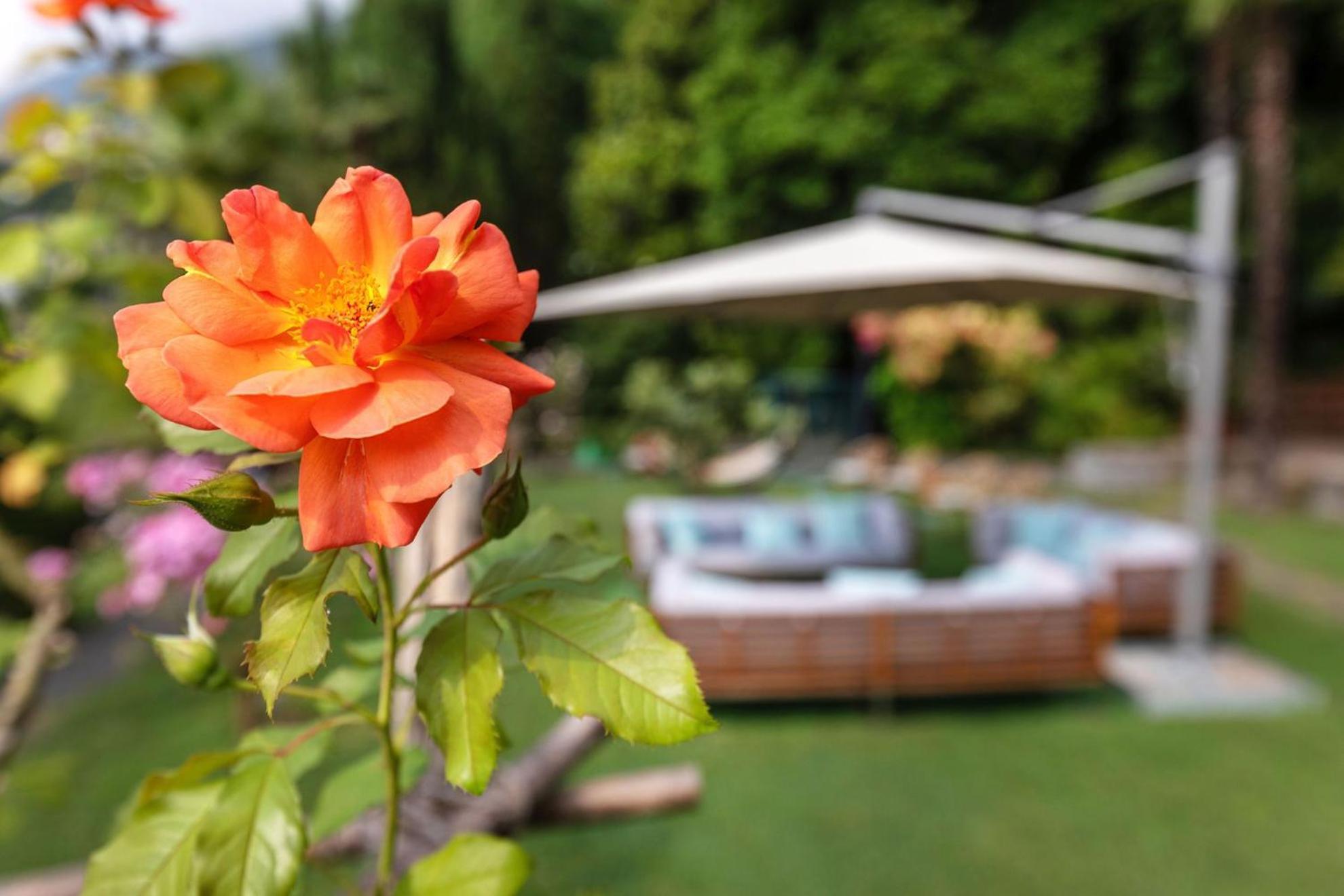 Parkhotel Brenscino Brissago Kültér fotó